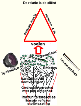 IV_driehoek
